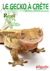Image de Le gecko à crête de Nouvelle-Calédonie - Correlophus, anc. Rhacodactylus ciliatus