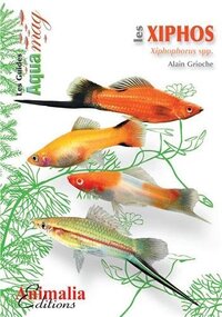 Image de Les xiphos - Xiphophorus spp.