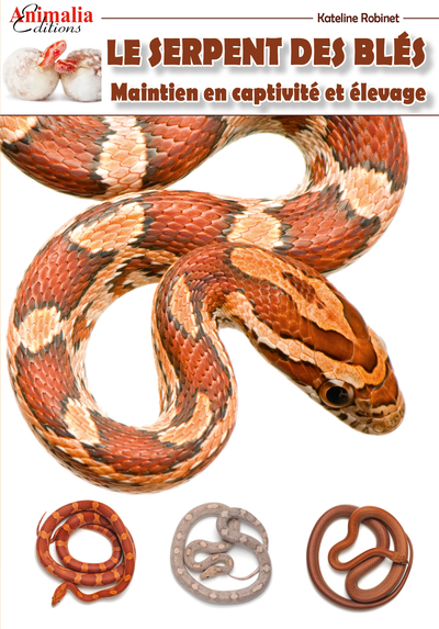 Image de Le Serpent Des Bles : Maintien En Captivite et Elevage