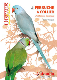 Image de La perruche à collier - Psittacula krameri