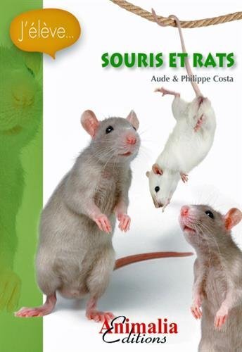 Image de Souris et rats
