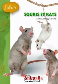 Image de Souris et rats