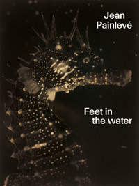 Image de Jean Painlevé. Feet in the water