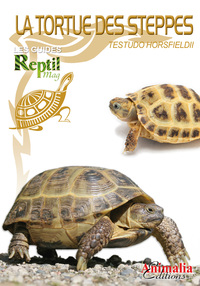 Image de La Tortue Des Steppes