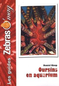 Image de Oursins en aquarium