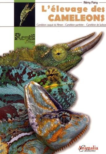 Picture of L'élevage des caméléons - caméléon casqué du Yemen, caméléon panthère, caméléon de Jackson