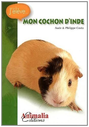 Image de Mon cochon d'Inde
