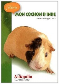 Image de Mon cochon d'Inde
