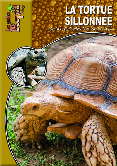 Image de La tortue sillonnée - centrochelys sulcata