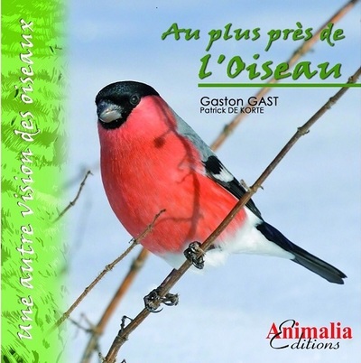 Image de Au plus près de l'oiseau