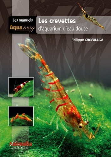 Image de Les crevettes d'aquarium d'eau douce
