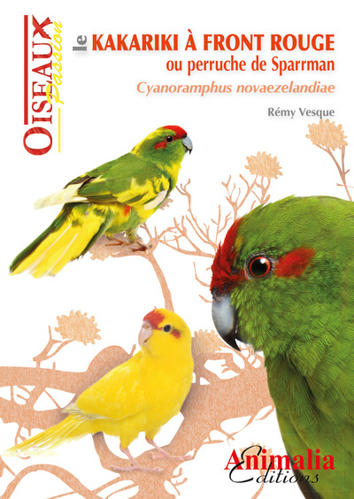 Image de Le kakariki à front rouge ou Perruche de Sparrman - Cyanoramphus novaezelandiae