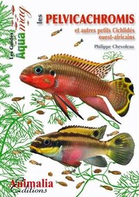 Image de Les pelvicachromis et autres petits cichlidés ouest-africains - pelvicachromis, anomalochromis, chromidotilapia, congochromis, enigmatochromis & nanochromis