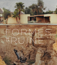 Picture of Formes de la ruine