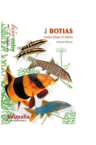 Image de Les botias - loche-clown et autres