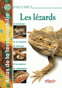 Image de Les lézards