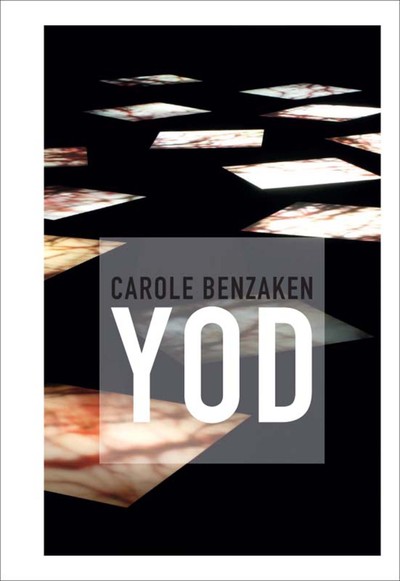 Picture of Carole benzaken yod