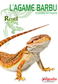 Image de L'agame barbu - Pogona vitticeps