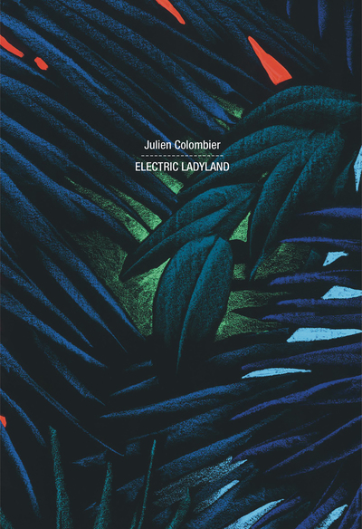 Picture of Julien Colombier. Electric Ladyland