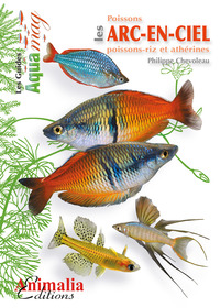 Image de Les poissons arc-en-ciel - poissons-riz et athérines