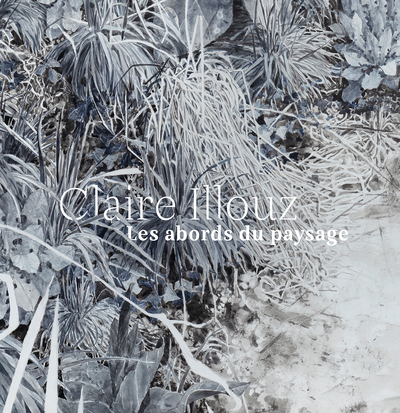 Picture of Claire Illouz. Les abords du paysage