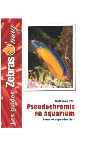 Image de Pseudochromis en aquarium - soins et reproduction