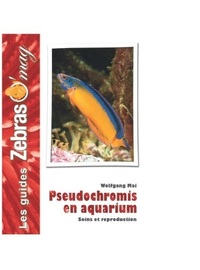 Image de Pseudochromis en aquarium - soins et reproduction