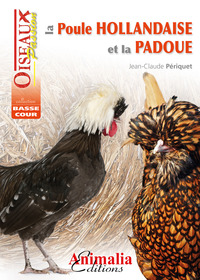 Image de La poule hollandaise et la Padoue