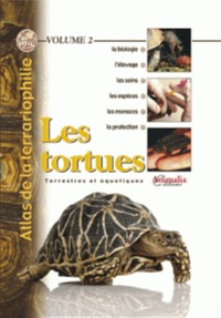 Picture of Les tortues - terrestres et aquatiques