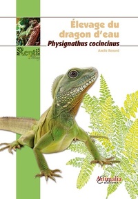 Image de Élevage du dragon d'eau - physignathus cocincinus
