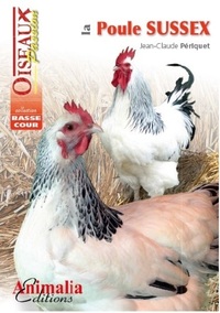 Image de La poule Sussex