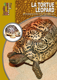 Image de La tortue léopard - Stigmochelys pardalis