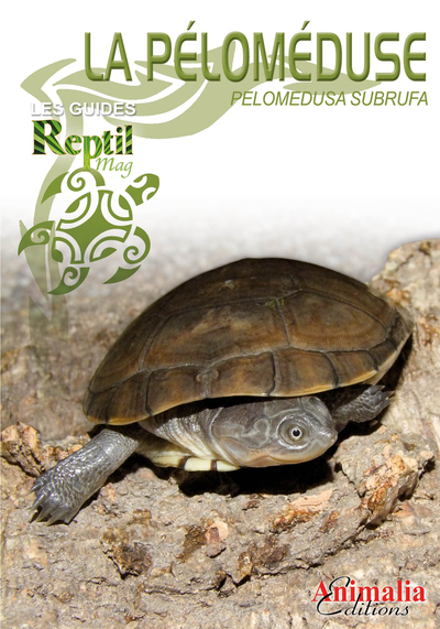 Image de La péloméduse roussâtre - pelomedusa subrufa et espèces proches