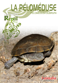 Image de La péloméduse roussâtre - pelomedusa subrufa et espèces proches