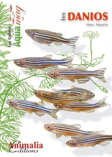 Image de Les danios