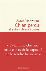 Image de Chien perdu et autres chiens trouvés