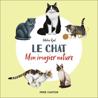 Picture of Le chat