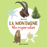 Picture of La montagne