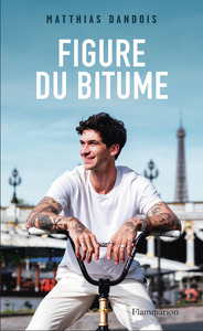 Picture of Figure du bitume