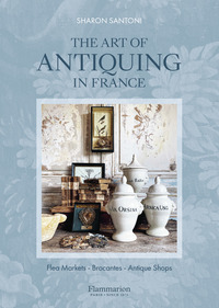Image de The Art of Antiquing in France