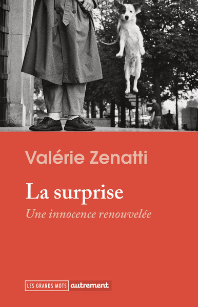 Image de La surprise