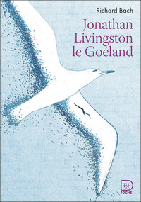 Image de Jonathan Livingston le Goéland