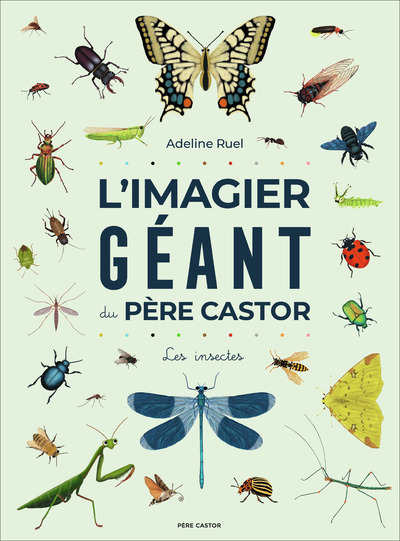 Picture of L'Imagier géant du Père Castor