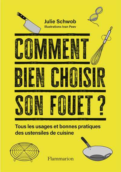 Image de Comment bien choisir son fouet ?