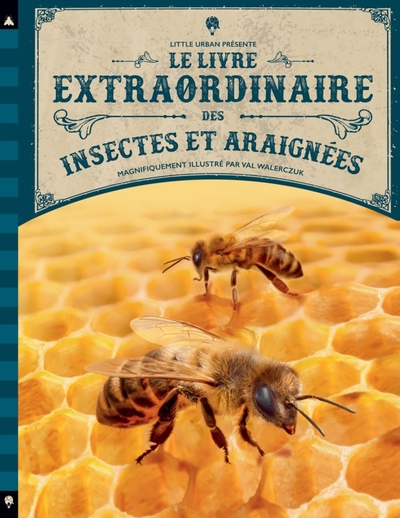 Image de Le Livre extraordinaire des insectes et araignées