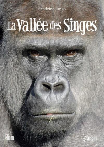 Image de La vallée des singes