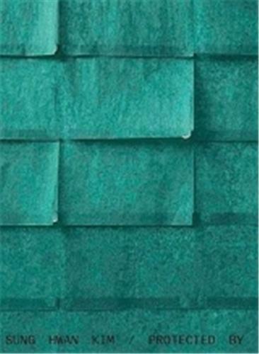 Picture of Sung Hwan Kim Protected by Roof and Right Hand Muscles /anglais