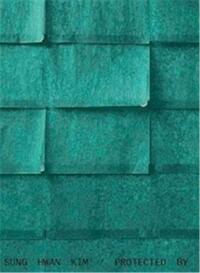 Picture of Sung Hwan Kim Protected by Roof and Right Hand Muscles /anglais