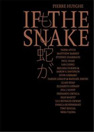 Picture of Pierre Huyghe If the Snake /anglais