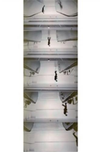 Image de Peter Fischli Addition, Subtraction, Multiplication /anglais